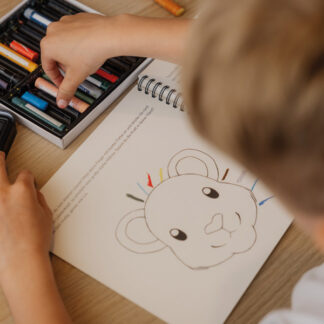 Der Löwe Lio bekommt seine Mähne.