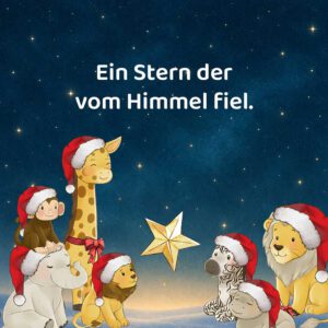 Der Stern, <br>der vom Himmel fiel